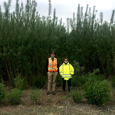 Biosolids and Willow Trees for a Low Carbon Economy: 2022 recipient of the Environment & Sustainability Award