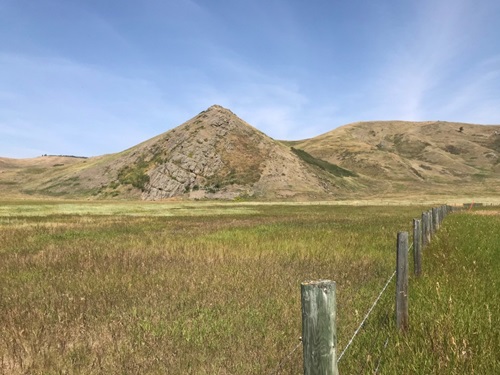 Conglomerate gravel ridge west of Longview, near the Highwood River